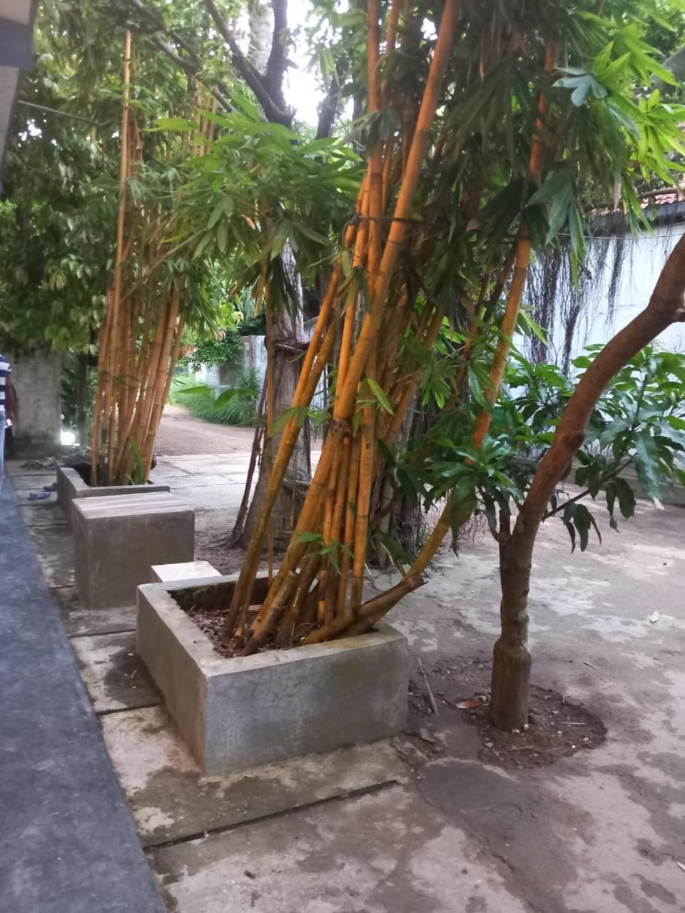 Suninn Hostel And Surf School Weligama Buitenkant foto