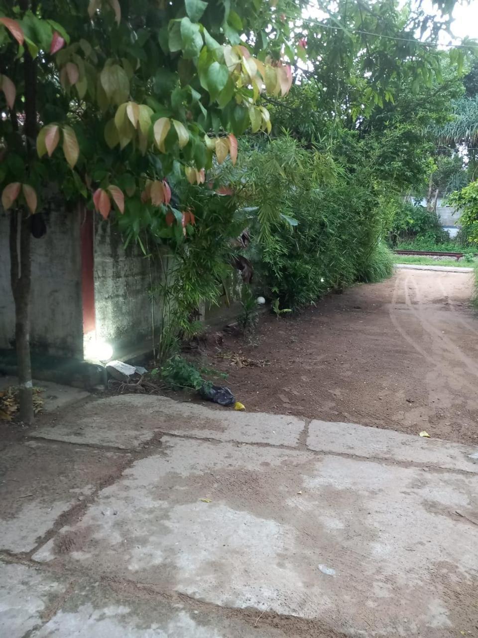 Suninn Hostel And Surf School Weligama Buitenkant foto
